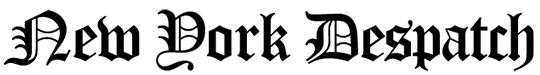 New York Despatch logo